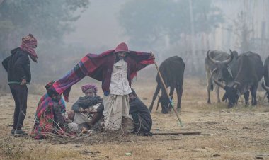 चदरिया ऊनी रे ऊनी...