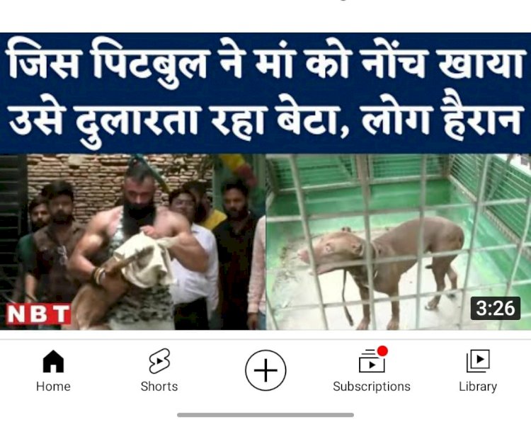 पिटबुल के बहाने..