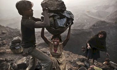 कोयला कैसे निकाला जाता है और वह पावर प्लांट तक कैसे पहुंचता है?