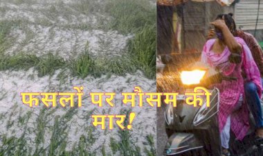 विदाई से पहले मानसून बरसा रहा ओले, यहां बारिश ने चौपट की फसलें