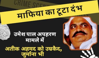 अतीक अहमद को उम्रकैद की सजा, देना होगा जुर्माना भी, राजू पाल की पत्नी पूजा पाल ने जताई नाराजगी