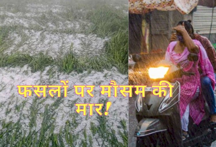विदाई से पहले मानसून बरसा रहा ओले, यहां बारिश ने चौपट की फसलें