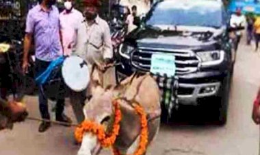 17.50 लाख की कार को दो गधों से जोड़ बनाया रथ,  जब खींचा गधों ने तो देखने उमड़ पड़ा हुजूम