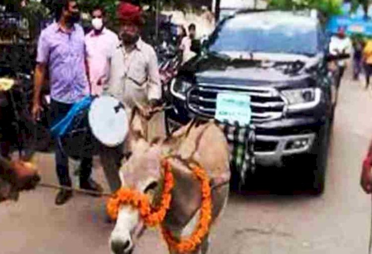 17.50 लाख की कार को दो गधों से जोड़ बनाया रथ,  जब खींचा गधों ने तो देखने उमड़ पड़ा हुजूम
