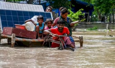 खतरे के निशान से ऊपर यमुना, राजस्थान के हनुमानगढ़ में बाढ़ का खतरा, गुजरात में सड़क पर घूमने लगे शेर