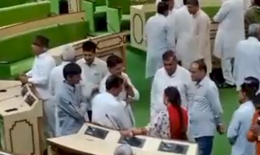 सदन में कुछ इस तरह से चर्चा करते नजर आए राजे और पायलट