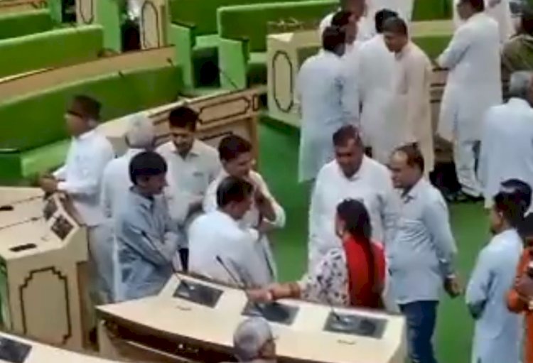 सदन में कुछ इस तरह से चर्चा करते नजर आए राजे और पायलट