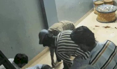 बीकानेर में सनसनीखेज वारदात- गर्दन और सीने में चाकू से वार कर मार डाला 