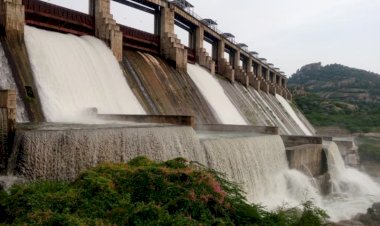 पाली, जालोर और सिरोही को राहत देने वाले जवाई बांध के दो गेट खोले गए, किसानों में उत्साह