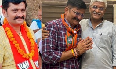 भाजपा युवा मोर्चा के पूर्व जिलाध्यक्ष हेमंत पुरोहित ने निर्दलीय चुनाव लड़ने का ऐलान किया