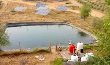 खेतों में फार्म पौण्ड बनाने पर किसानों को मिलेगा 1 लाख 35 हजार रूपये तक का अनुदान