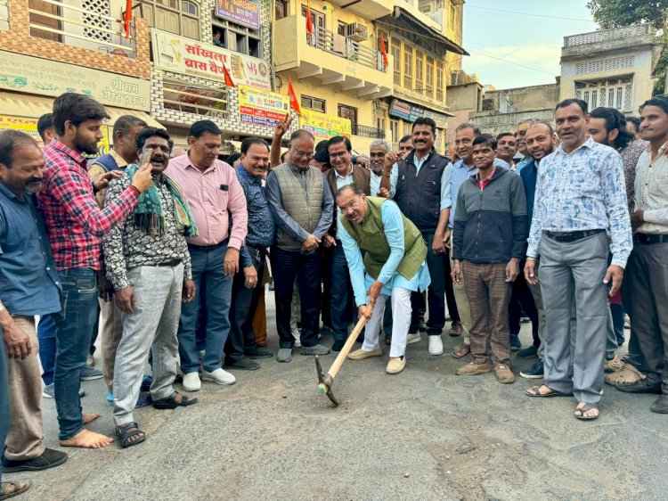 विधानसभा अध्यक्ष ने किया सड़क निर्माण कार्य का शुभारंभ