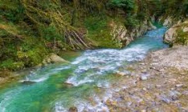 रावी व्यास की नदियों का जल राज्य के लिए आवंटित पूर्ण मात्रा में प्राप्त करने की कार्ययोजना ले रही है आकार— नहरों की घटी प्रवाह क्षमता को पुनर्स्थापित कर 18 हजार क्यूसेक करने के लिए हो रहा है इंदिरा गांधी फीडर नहर का जीर्णोद्धार— 20 मार्च से 19 अप्रेल तक की जाएगी चरणबद्ध नहर बंदी