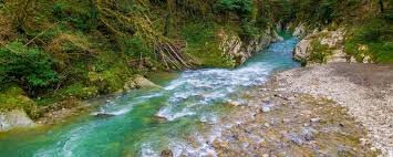 रावी व्यास की नदियों का जल राज्य के लिए आवंटित पूर्ण मात्रा में प्राप्त करने की कार्ययोजना ले रही है आकार— नहरों की घटी प्रवाह क्षमता को पुनर्स्थापित कर 18 हजार क्यूसेक करने के लिए हो रहा है इंदिरा गांधी फीडर नहर का जीर्णोद्धार— 20 मार्च से 19 अप्रेल तक की जाएगी चरणबद्ध नहर बंदी
