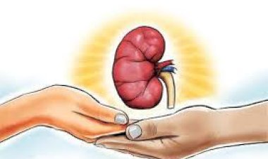 मानव अंग प्रत्यारोपण की फर्जी एनओसी देने का मामला
