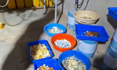 नेल पोलिस रिमूवर के केमिकल से बनाते थे ड्रग्स