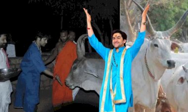 बागेश्वर धाम के पीठाधीश्वर धीरेन्द्र शास्त्री पहुंचे नन्द गांव केसुआ ,रात्रि विश्राम कर बोले गो-हत्या पर कानून बने