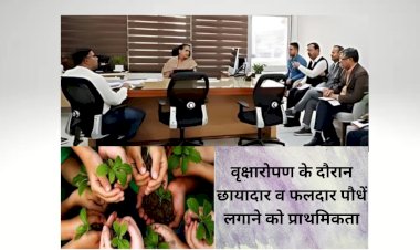 माइनिंग सेक्टर में करीब 5 लाख छायादार-फलदार पौधे लगाये जाएंगे