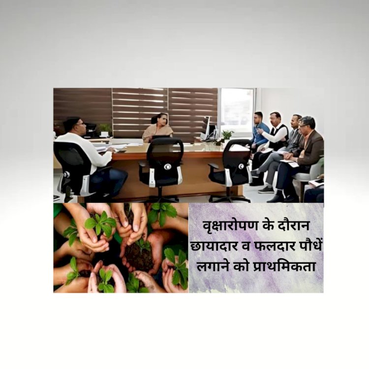 माइनिंग सेक्टर में करीब 5 लाख छायादार-फलदार पौधे लगाये जाएंगे