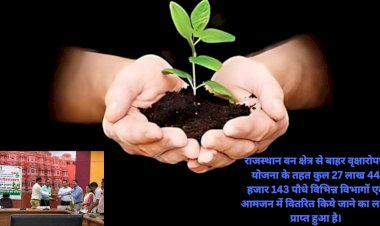 जिले में जल्द से जल्द हासिल हो पौधारोपण का लक्ष्य- जिला कलक्टर