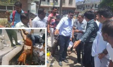 पूर्व सभापति कुसुम सोनी की मवेशियों के कारण नाले में गिरने से प्रशासन हरकत में आया, भाजपाइयों ने किया जमकर विरोध, XEN को घेरा