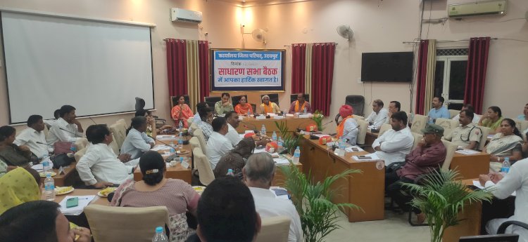 उदयपुर जिला परिषद की साधारण सभा बैठक — समन्वय से काम कर आमजन तक पहुंचाएं योजनाओं का लाभ
