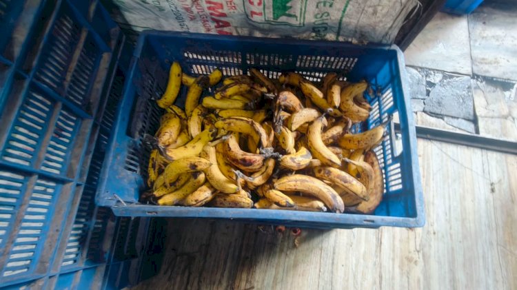 हानिकारक रंग और पाम ऑयल से भरे फ्रोजन डेजर्ट के नमूने लिए गए