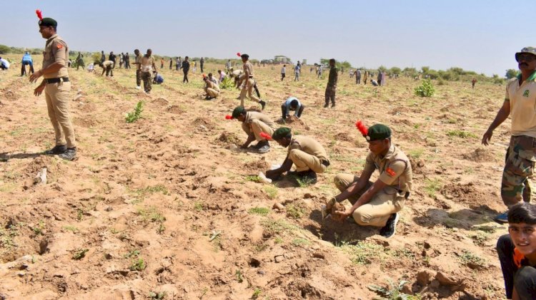 एक घंटे में 5 लाख से अधिक पौधे लगाए