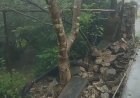 मार्ग अवरुद्ध होने का बढ़ा खतरा