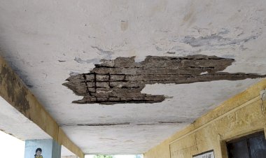 सिरोही के पांडूरी बंजाराफली स्कूल में प्लास्टर गिरा
